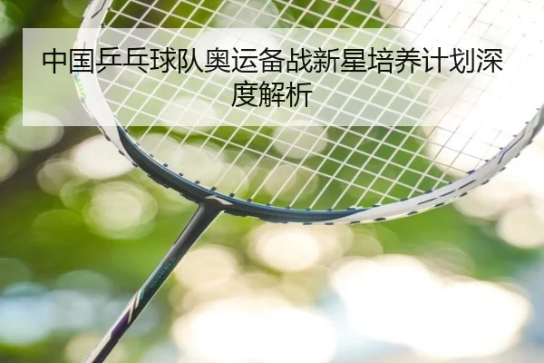 中国乒乓球队奥运备战新星培养计划深度解析